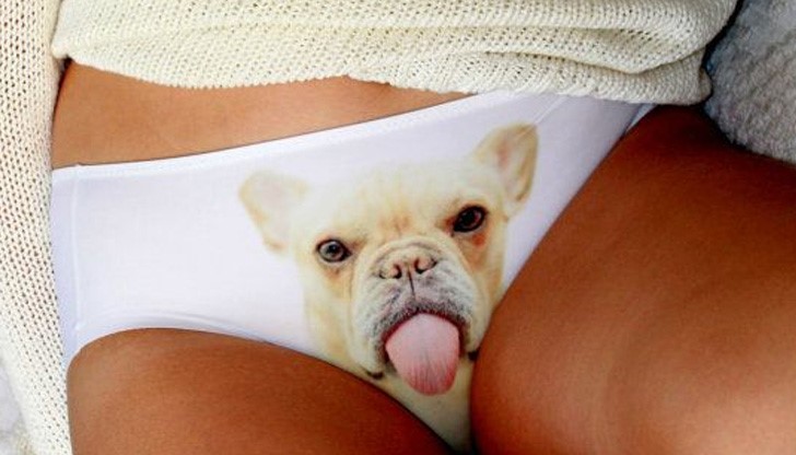 Женската полова система е интересна не само от плътска, но и от познавателна гледна точка