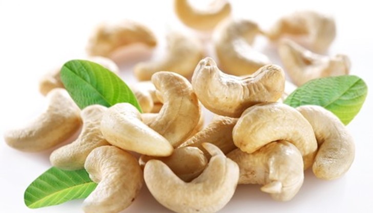 Ето няколко любопитни факта за кашуто Ето няколко любопитни факта за кашуто