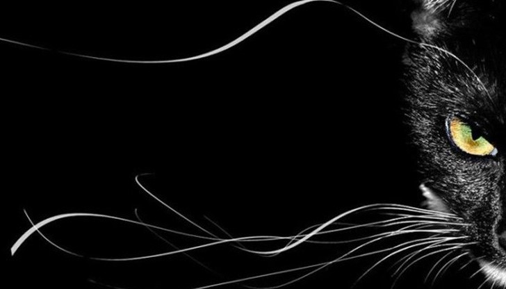 В живота ни има неща, с които се съобразяваме без да се замислим защо