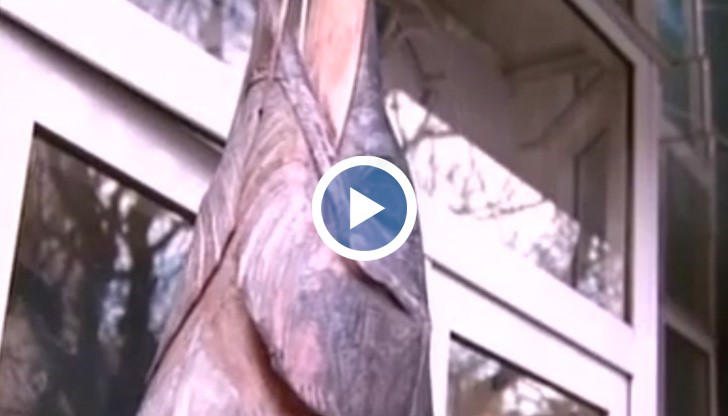 Родните търговци използват всякакви атрактивни начини да сборят конкуренцията и да привлекат клиента