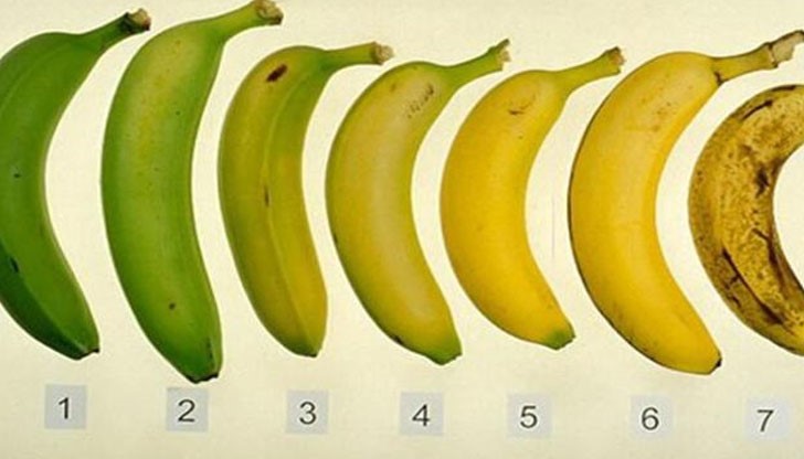 Ето резултата от здравното проучване