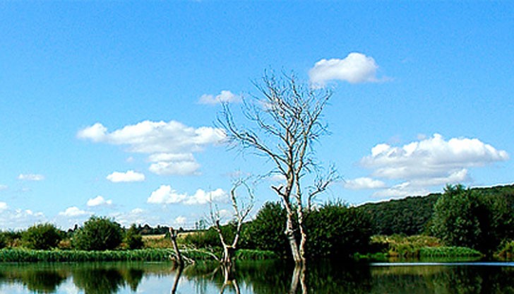 Периодът до юни 2016 ще бъде решаващ за състоянието на българските реки до 2021 година Периодът до юни 2016 ще бъде решаващ за състоянието на българските реки до 2021 година