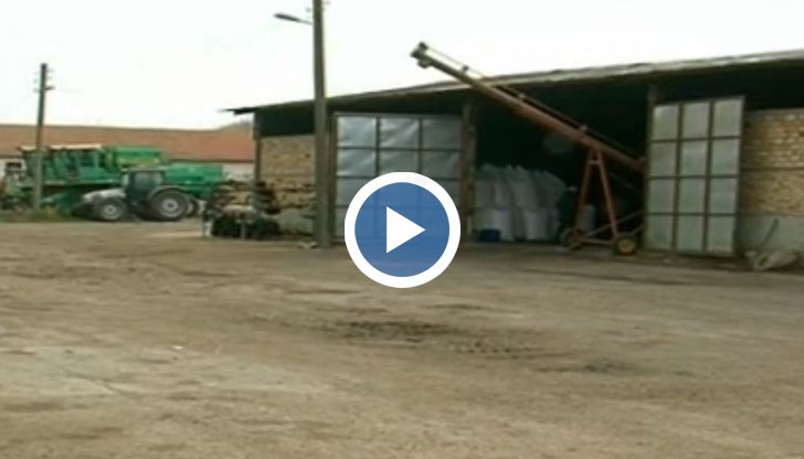 Измама със зърно чрез манипулиран кантар в кооперация