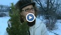 В Русе засаждат градинка от коледни елхички