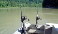 Удължава се забраната за улов на есетра в река Дунав