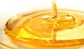 В Русе учат децата защо е полезно да ядат мед
