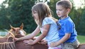 В Русе лекуват деца с увреждания с конна езда