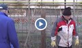 Събориха незаконна ограда в двор на частен имот в Русе