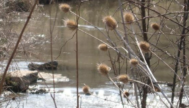 Девет язовира и коритото на река Русенски Лом се следят от надзорници на "Напоителни системи - клон Долен Дунав"
