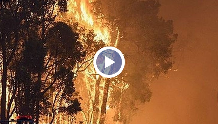 Големи пожари в Австралия изпепелиха десетки къщи и взеха жертви