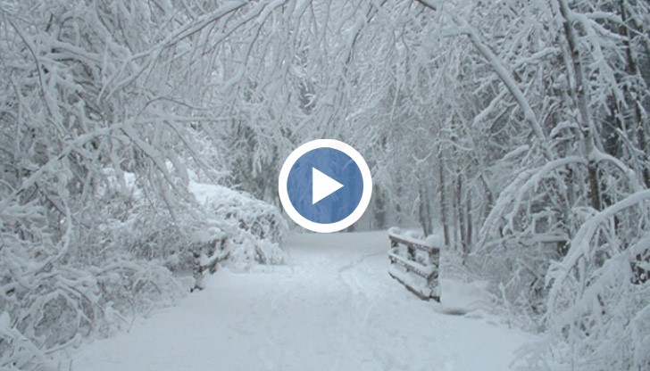 Седмицата започва със слънце и високи за януари температури