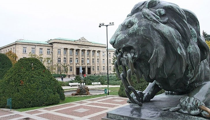 Най-засегнати са деца във възрастовите групи между 0 и 15 години