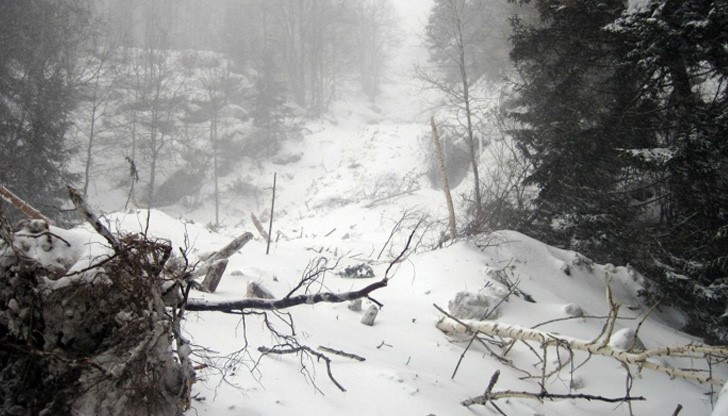 Лавина е паднала тази сутрин на Витоша в района на Алеко Лавина е паднала тази сутрин на Витоша в района на Алеко