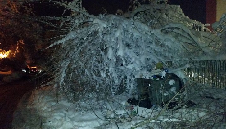 Тези паднали клони са на не повече от  1мин. разстояние от училище СОУЕЕ