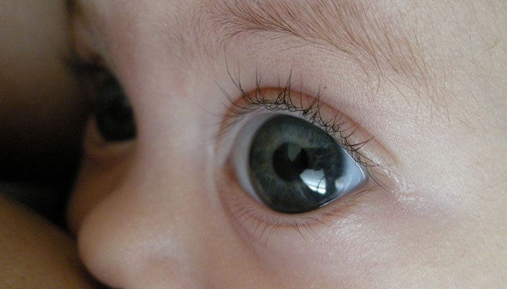 В Клиниката по педиатрия на Александровската болница са диагностицирани пет случая на заразяване с щама на свинския грип В Клиниката по педиатрия на Александровската болница са диагностицирани пет случая на заразяване с щама на свинския грип