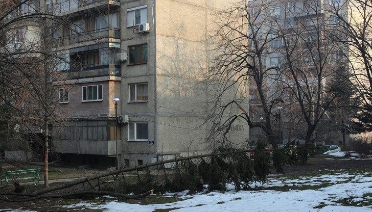 Ще мине ли някой да махне вече изпотрошените клони и изкоренени дървета?