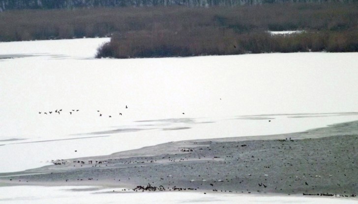 Забранено е влизането по ледената повърхност, съобщават от резервата. Предупреждава се за опасност от инциденти Забранено е влизането по ледената повърхност, съобщават от резервата. Предупреждава се за опасност от инциденти