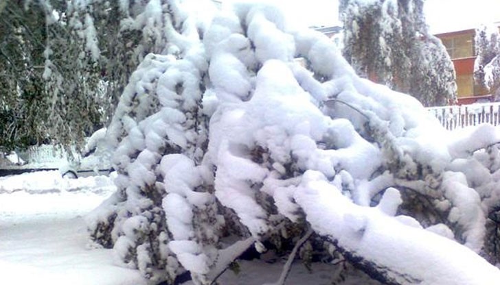 Бих искала да попитам господин Кмета как е възможно учениците да ходим на училище?