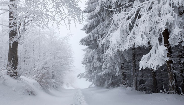 Спокойна и мързелива неделя! Спокойна и мързелива неделя!