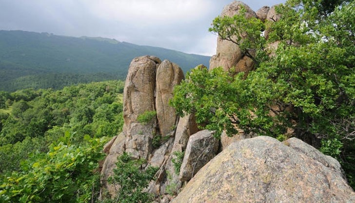 Сигналът за изчезналия младеж е подаден към 112 в 17:41 часа вчера Сигналът за изчезналия младеж е подаден към 112 в 17:41 часа вчера