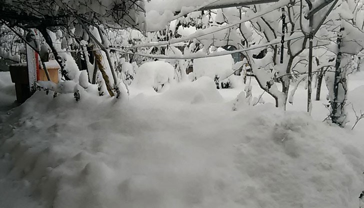 Зимен еднометров капан