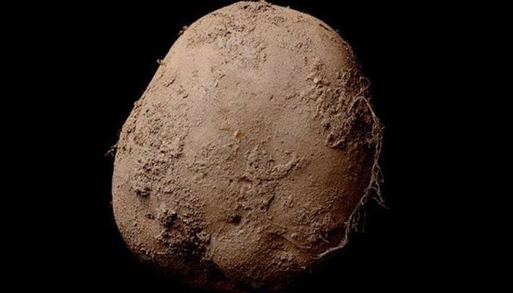 Фотографията била купена от заможен европейски бизнесмен, пожелал да остане анонимен