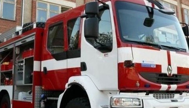 Спасителите са събрали и депонирали живака Спасителите са събрали и депонирали живака