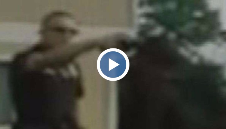 олицаят ще лежи в затвора за срок от 5 години