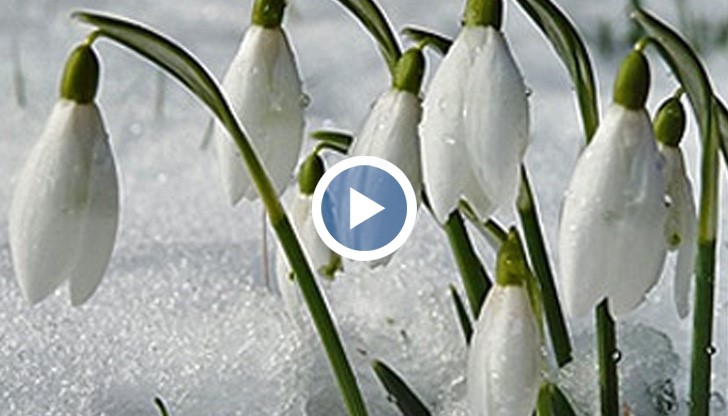 Дали положителните температури ще се задържат?