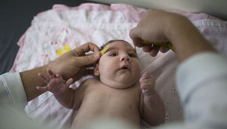 Скок в случаите на болестта бе регистриран за първи път в Бразилия миналата година