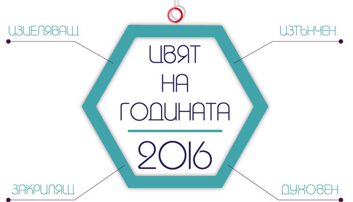 “Цвят на годината” е инициатива на Оргахим АД, която се провежда за първа година в партньорство с Асоциацията на интериорните дизайнери в България