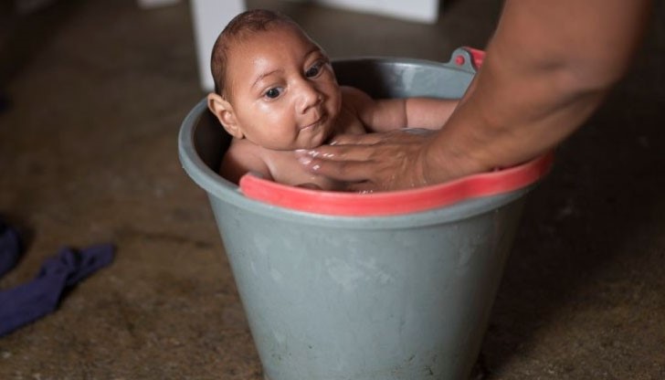 Първи случай на опасния за бременни жени вирус Зика в Европа