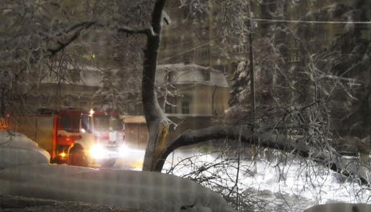 6:30 часа, 17 януари 2016 година