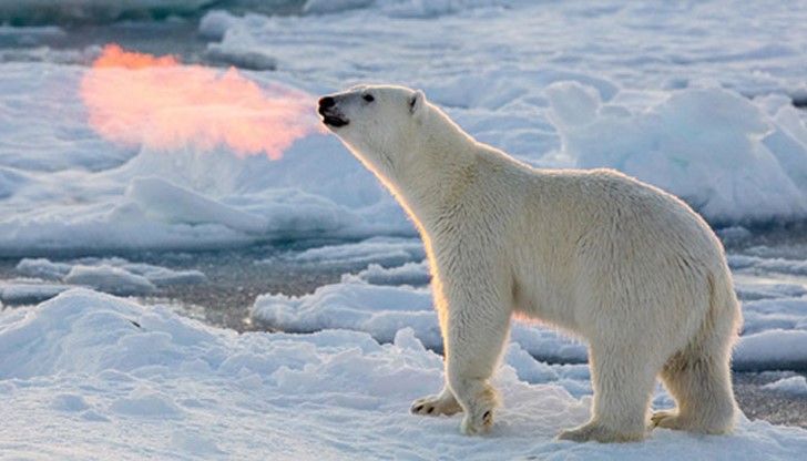 Това е пара от дишането на животното, оцветена в оранжево заради оптичен ефект