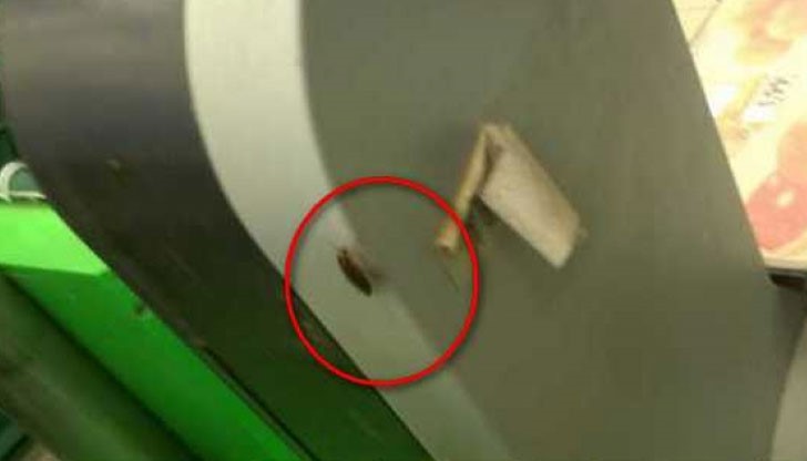 Жената отишла да избере плодове за отрочето си и когато решила да ги измери на кантара...