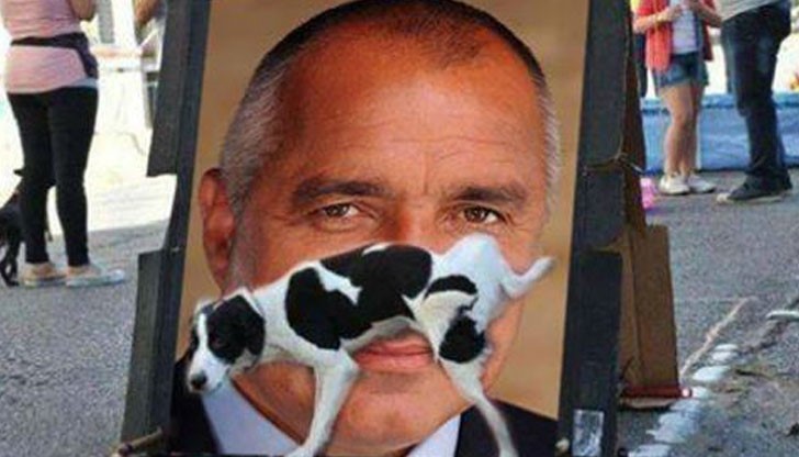 Бандит ли е Борисоглу?