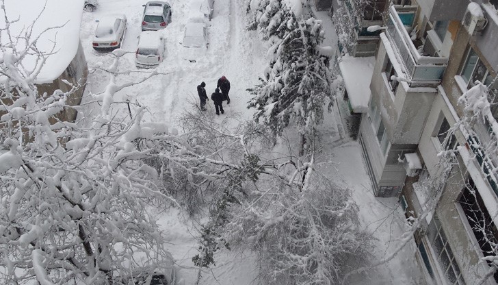 Тук, на нашата улица, винаги сме на последното място