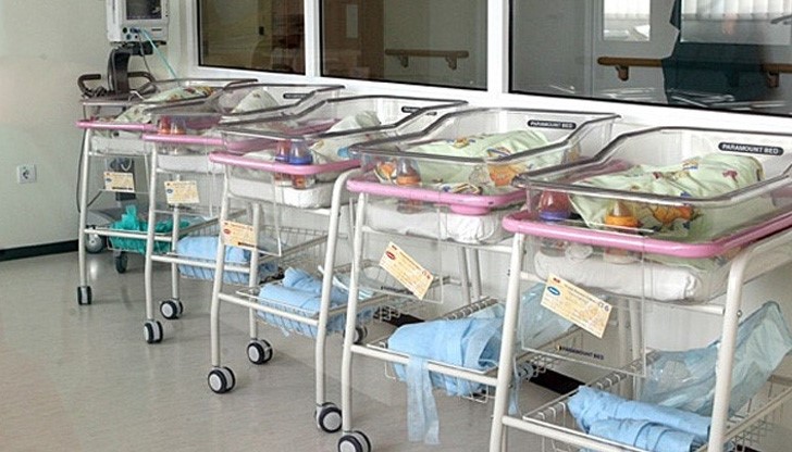 42 от тях са момченцата, 38 – момиченцата. Има и една двойка близнаци 42 от тях са момченцата, 38 – момиченцата. Има и една двойка близнаци