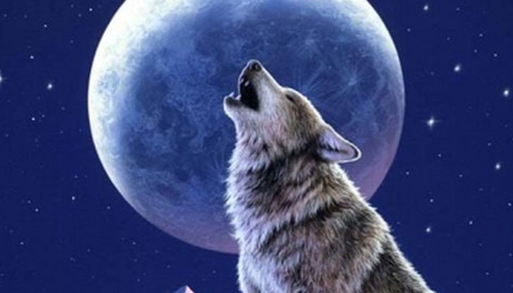 В нощта между 23 и 24 януари не очаква Вълча Луна, което е чудесна новина, тъй като се очаква, че най-накрая ще ни донесе положителни вибрации