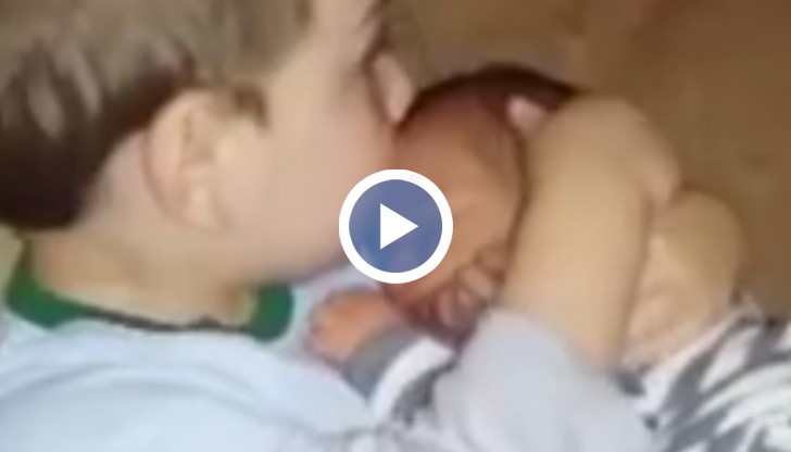 Хиляди потребители харесаха и коментираха видеото във Фейсбук