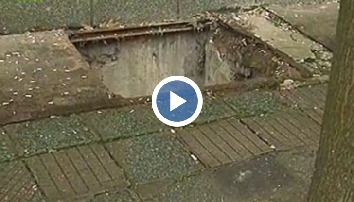 От общината ще направят проверка!