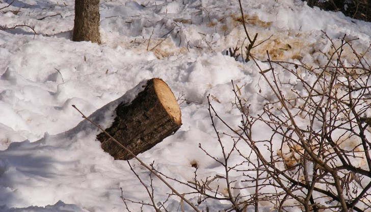 Улица "Студентска"