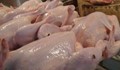 Спипаха нелегална транжорна за пилешко месо