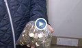 Мъж изсипа торба със стотинки, за да си купи винетка