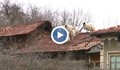 „Пълен абсурд”: Кози върху покриви!