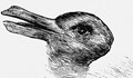 Заек или патица - какво виждате и какво означава това за Вас?