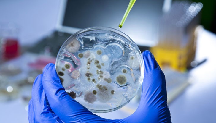 Задържани в Мароко терористи планирали серия от терористични актове в страната