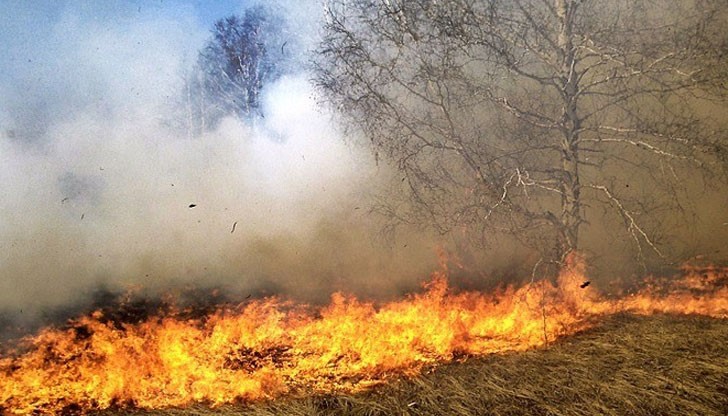 Първият пожар на сухи треви е бил загасен от работник, но повторното възпламеняване е овладяно с намесата на пожарната