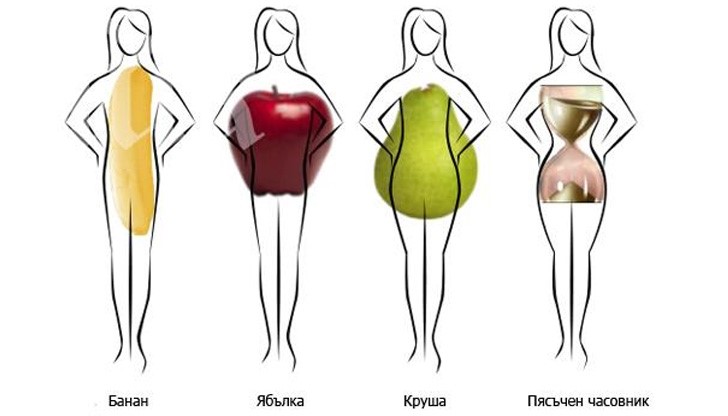 Типът фигура се определя от това в коя област се натрупват мазнините Типът фигура се определя от това в коя област се натрупват мазнините