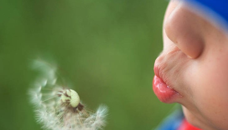 Само трябва да спазите точно изискванията